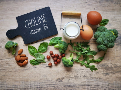 Cholin – der verkannte essenzielle Nährstoff für Leber und Gehirn