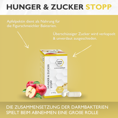 Hunger & Zucker Stopp - Programmiere deinen Darm auf schlank!