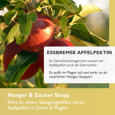 Hunger & Zucker Stopp - Programmiere deinen Darm auf schlank!