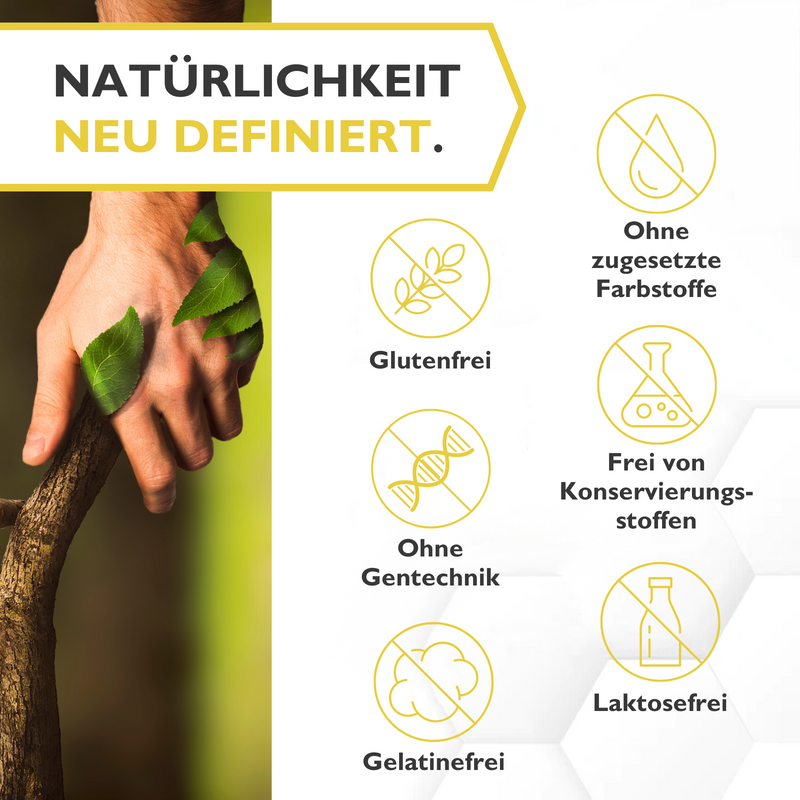 Hunger & Zucker Stopp - Programmiere deinen Darm auf schlank!